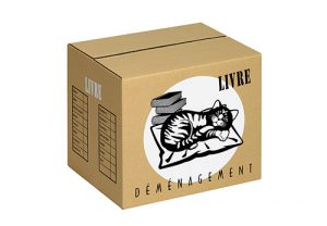 Carton de déménagement pour livres